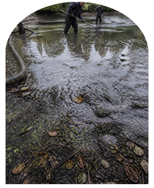 Очистка пруда в Лабинске от ила мусора и водорослей с вывозом